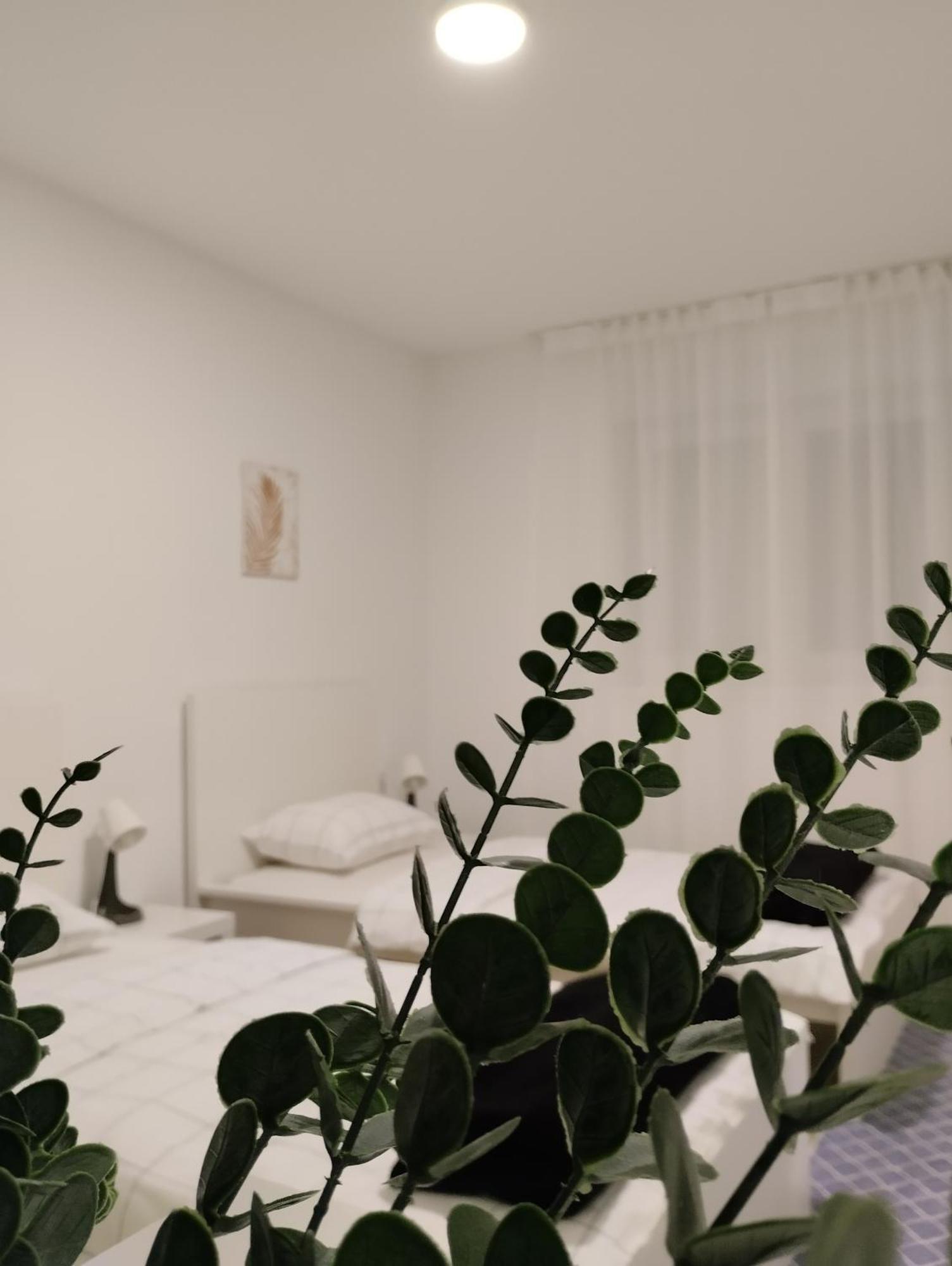 Marija Apartman オシエク エクステリア 写真